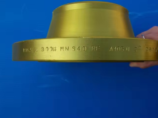 Customizable P250GH Forged Flange for High Pressure Applications