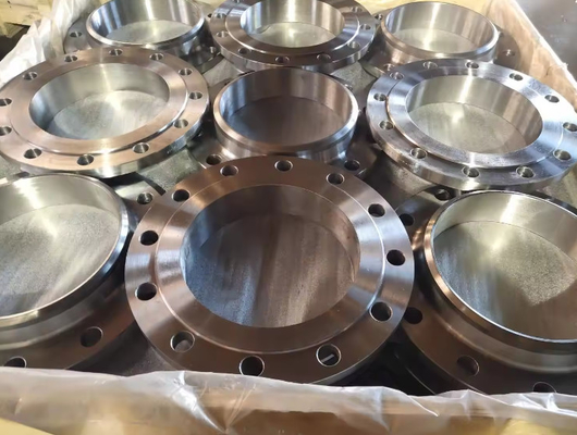 Customizable P250GH Forged Flange for High Pressure Applications